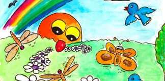 Diversidad biologica 1