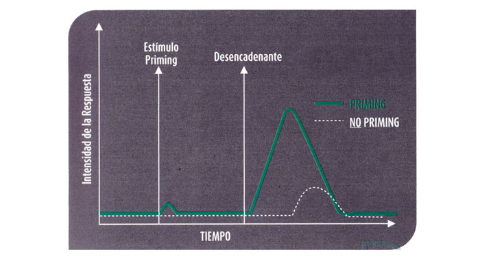 Efecto Priming