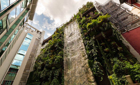 El Jardín vertical más grande de España