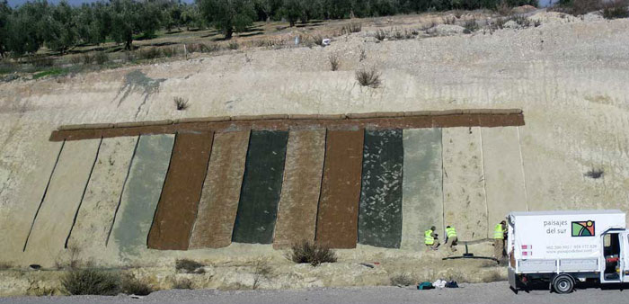 Estabilización biotécnica de taludes