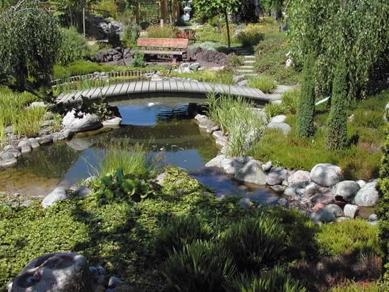 Estanque en el jardín construido con lámina