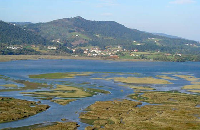 estuario de gernika