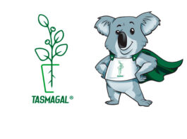 Eucalipto Tasmagal
