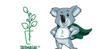 Eucalipto Tasmagal