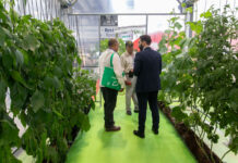 Exposición de Fruit Attraction en Madrid