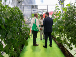 Exposición de Fruit Attraction en Madrid