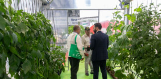Exposición de Fruit Attraction en Madrid