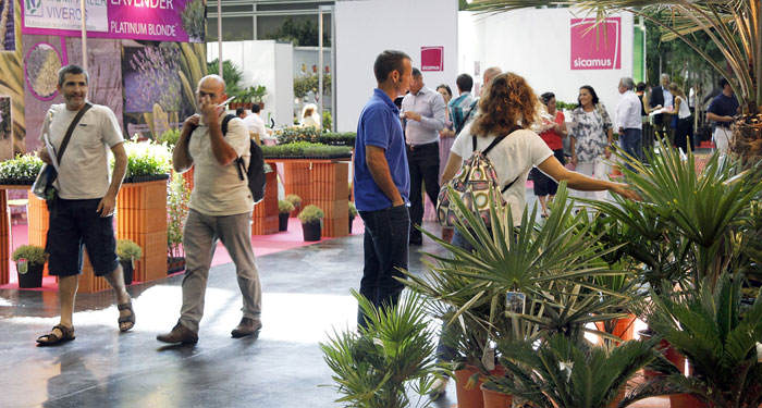 Feria de flores y plantas