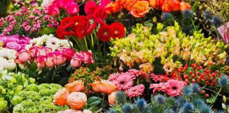 Flower & Garden Attraction