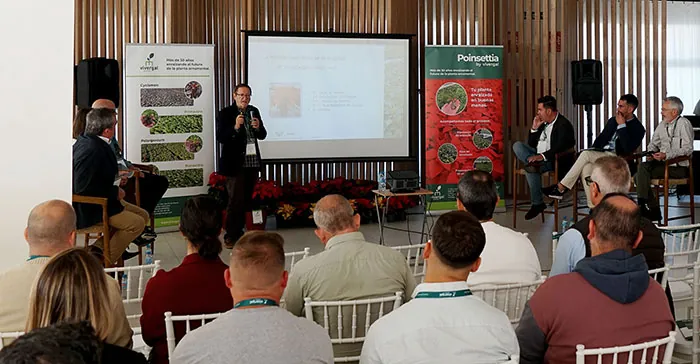 Fernando Cuenca en el Día da Poinsettia Fernando Cuenca en el Día da Poinsettia