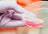 Fertilizantes bioactivos