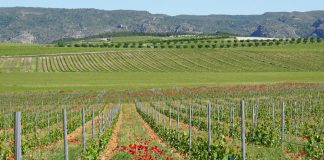 Industrias de fertilizantes para una agricultura ecológica