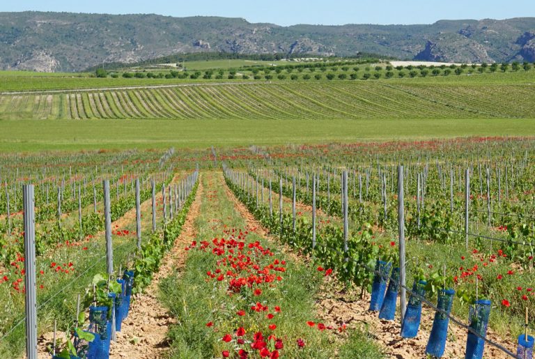 Industrias de fertilizantes para una agricultura ecológica