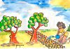 Fertilizantes para plantas 1