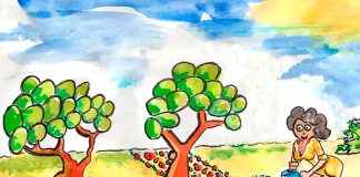 Fertilizantes para plantas 1
