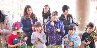 Festival De Flor en Flor, Barcelona