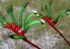 Flor de Anigozanthos flavidus
