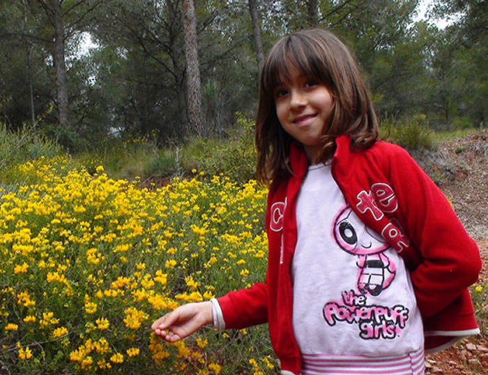 Flores de Hippocrepis valentina