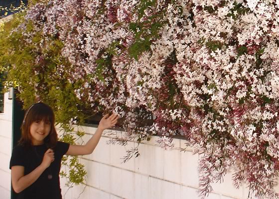 María con su impresionante Jazmín