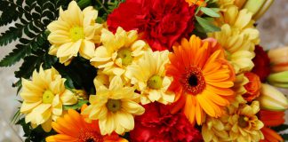 Flores de margaritas y gerberas