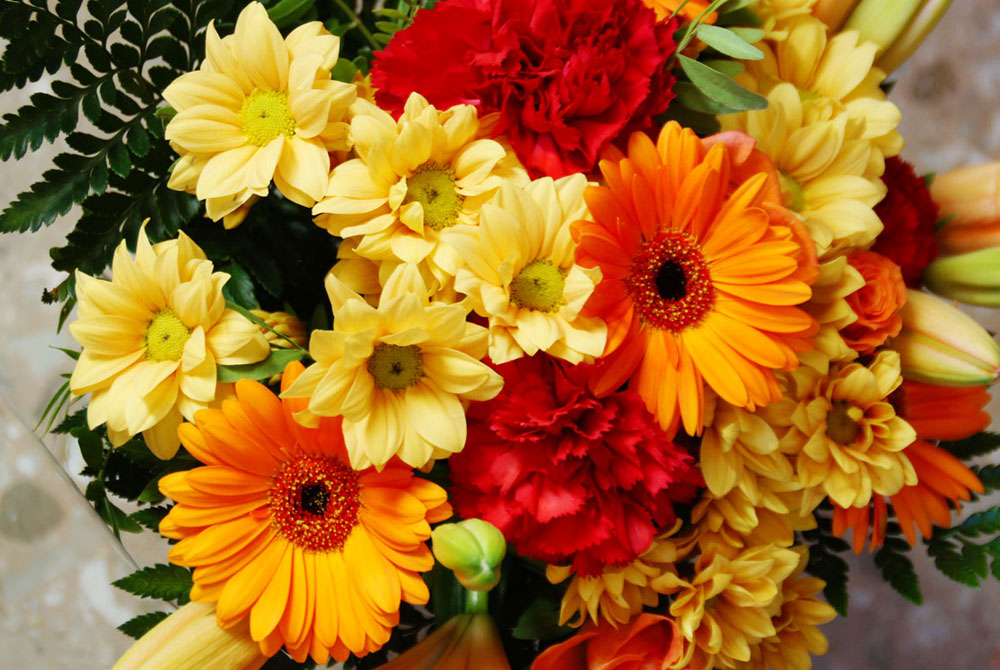 Flores de margaritas y gerberas