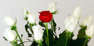 Marketing con rosas serigrafiadas
