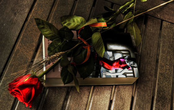 Sant Jordi, un libro y una rosa