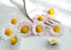 Flores comestibles