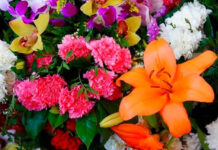 Flores ornamentales en ramo