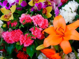 Flores ornamentales en ramo