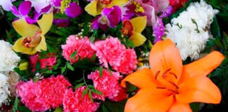 Flores ornamentales en ramo