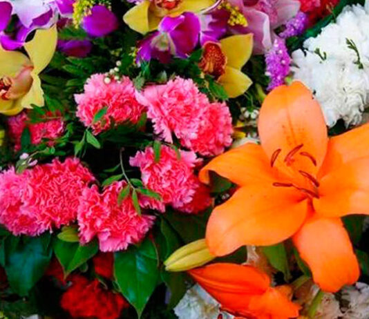 Flores ornamentales en ramo