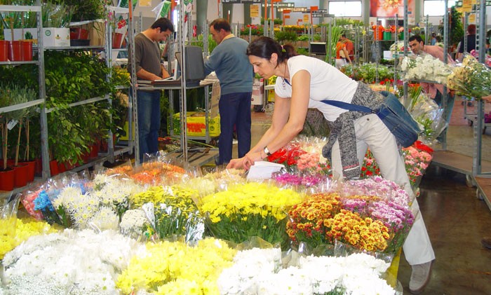 Comprar flores para Todos los Santos