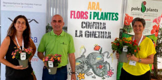 Flores y plantas contra la guerra