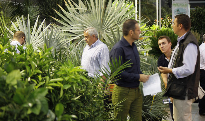 Retos y amenazas de la distribución de flores, plantas y jardín