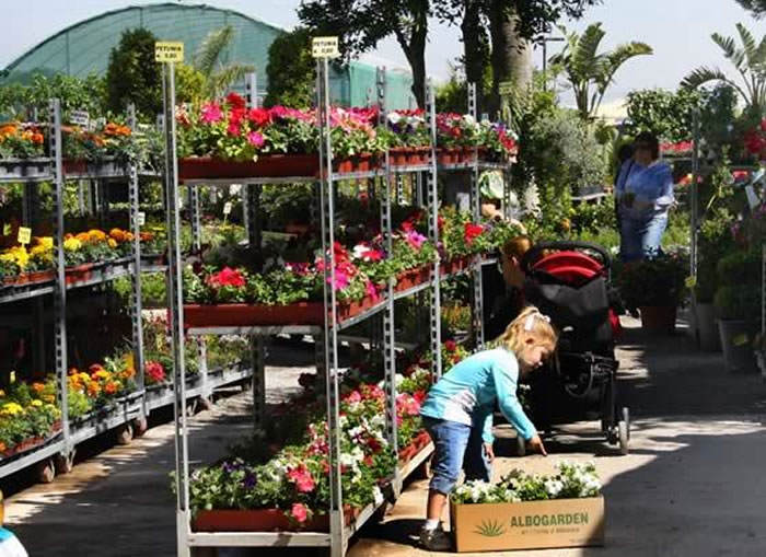 flores y plantas en un garden