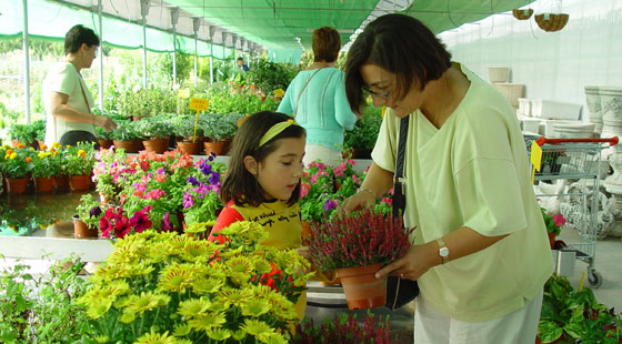 Flores y plantas en Madrid
