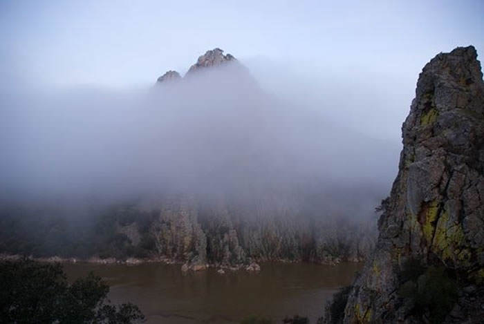 fotografia de naturaleza