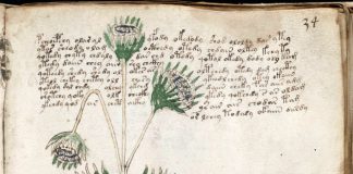 El Manuscrito Voynich y las Frankenplantas