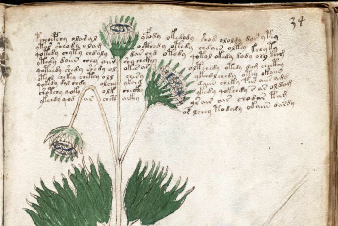 El Manuscrito Voynich y las Frankenplantas