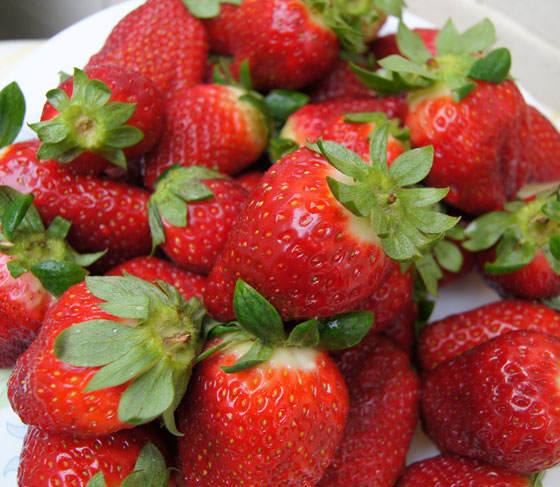 Fresas