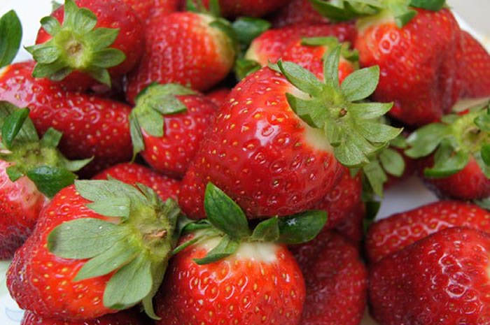 fresas grandes
