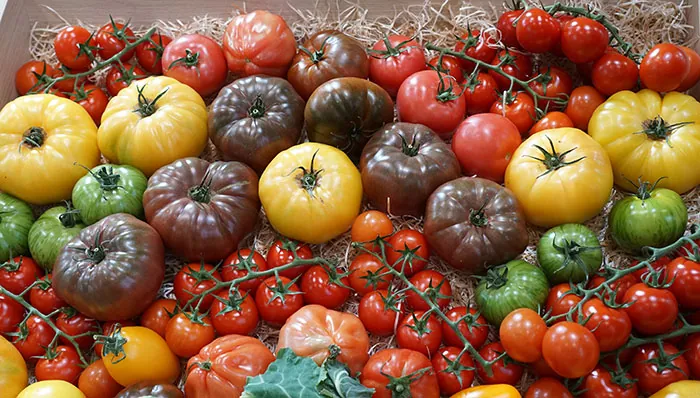 Frutas y hortalizas en Fruit attraction 2025 Frutas y hortalizas en Fruit attraction 2025