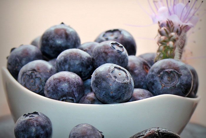 Frutos de arándano recolectados