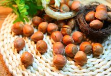 Frutos de avellana