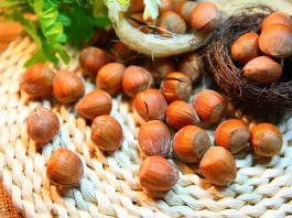 Frutos de avellana
