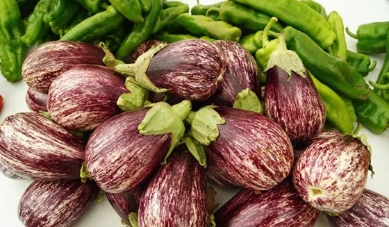 Frutos de Berengenas