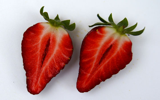 Variedades de Fresas – fresón