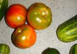 frutos de tomates