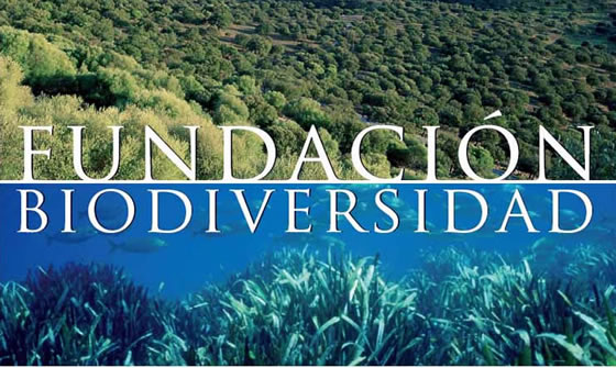 Fundación Biodiversidad